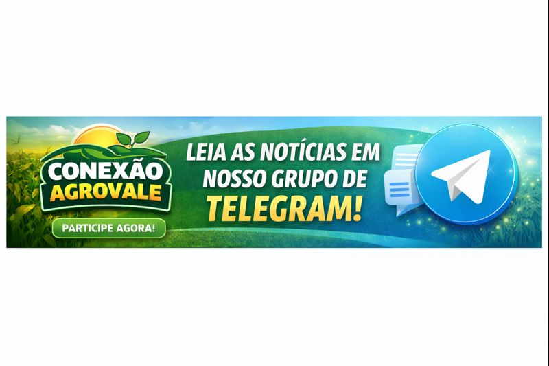 /apidata/imgcache/2570afec0d5946fee8da4cc830e4fc2c.png?banner=col4&when=1770208028&who=127