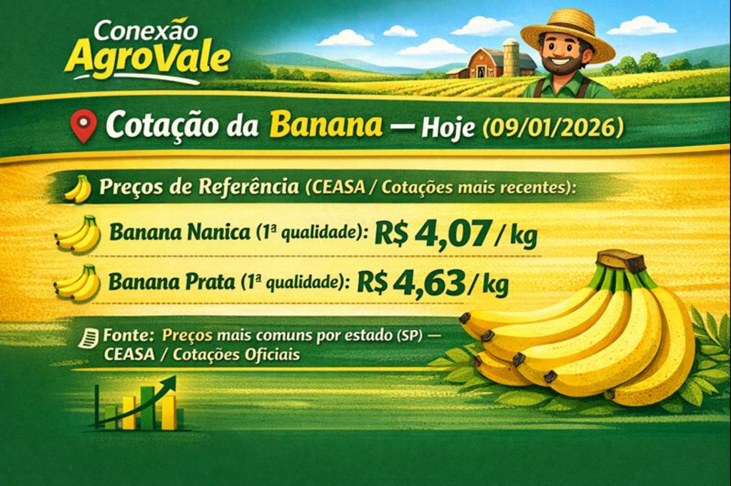 /apidata/imgcache/721d16c498c79b63286ea7141fba9461.png?banner=header&when=1770202747&who=127