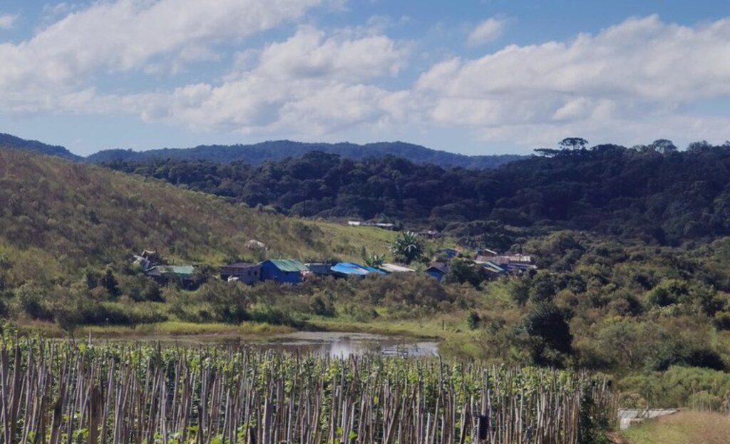 Fazenda no Vale do Ribeira é declarada de interesse social para reforma agrária